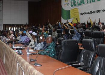 Guinée/Accès à l&rsquo;électricité et au changement climatique: les conseillers nationaux adoptent à l’unanimité deux accords de financement