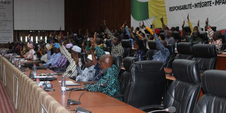 Guinée/Accès à l&rsquo;électricité et au changement climatique: les conseillers nationaux adoptent à l’unanimité deux accords de financement
