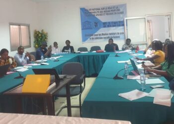 Conakry: une vingtaine de journalistes formés sur le rôle et responsabilité des médias pour une transition apaisée et réussie 