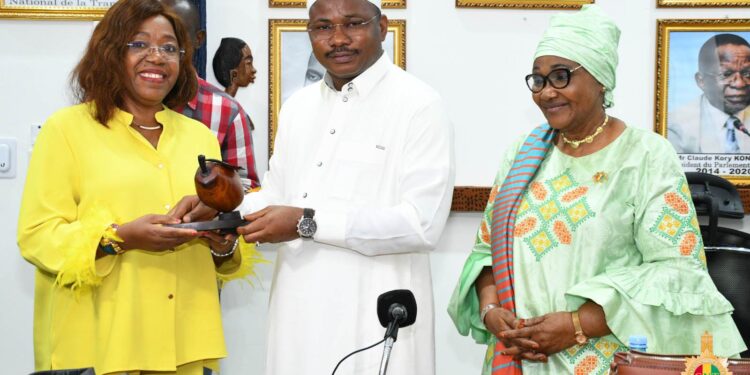 Compendium des compétences féminines de Guinée: le CNT reçoit une délégation ivoirienne 
