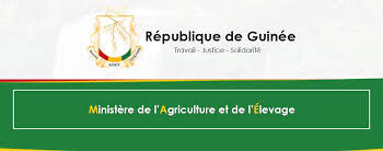 Agriculture : le budget est passé de 600 milliards à 1 900 milliards GNF