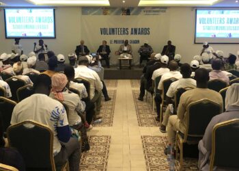 Journée internationale des volontaires: la Guinée gagne des points