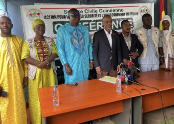 Lutte contre le changement climatique en Guinée: une ONG s’engage dans le combat