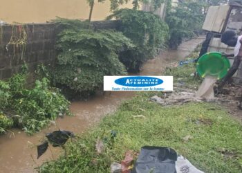 Kaloum/pluies diluviennes: plusieurs quartiers inondés