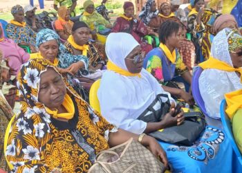 Kankan/Crise au RPG Arc-en-ciel : des femmes du parti prennent position