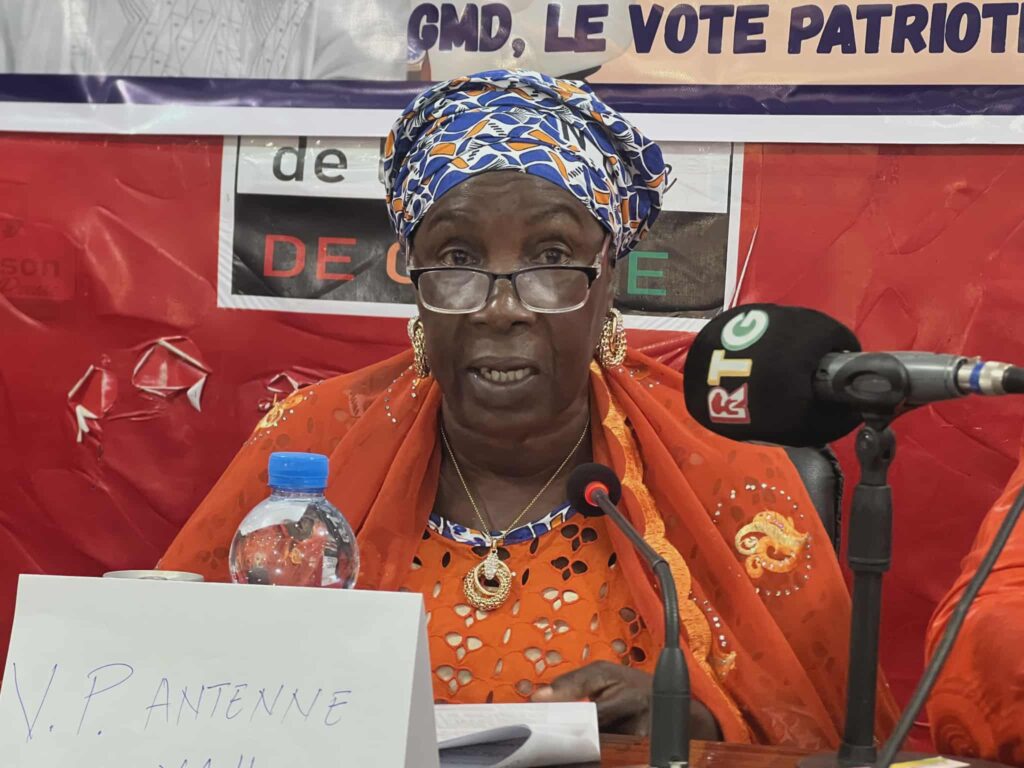 Élection présidentielle : Le RDN apporte son soutien à Mamadi Doumbouya