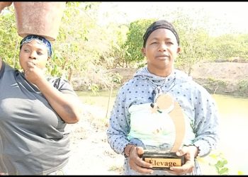 Kankan : à Sanakoro, Fatoumata Doumbouya fait rayonner la Ferme Sacko et l’entrepreneuriat féminin rural