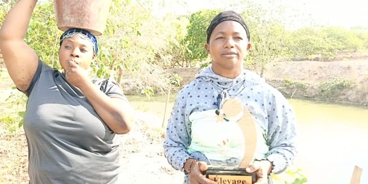 Kankan : à Sanakoro, Fatoumata Doumbouya fait rayonner la Ferme Sacko et l’entrepreneuriat féminin rural