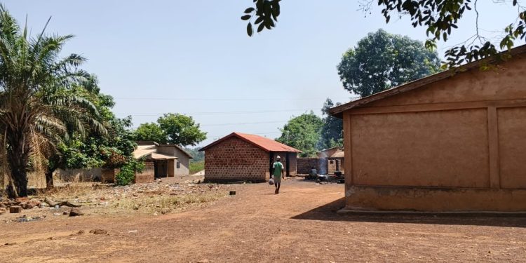 Kindia : Les habitants de Neribily se mobilisent pour la construction d’une école franco-arabe