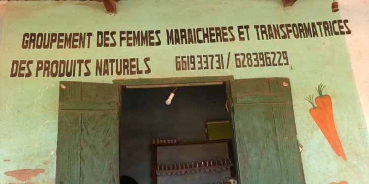 Kankan : À la rencontre de Sogbè Kourouma, figure de proue de l&rsquo;agrobusiness à Sabadou Baranama