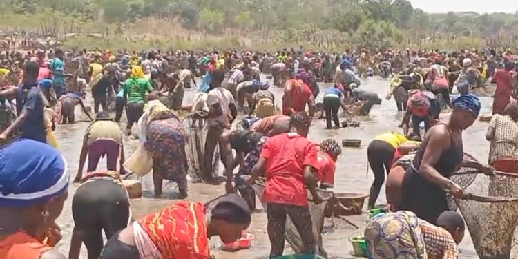 Kankan : À Dossory, les femmes redonnent vie à la pêche artisanale
