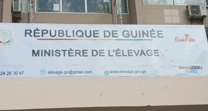 Grippe aviaire : la Guinée renforce sa vigilance après l&rsquo;apparition de foyers en Côte d&rsquo;Ivoire et au Sénégal