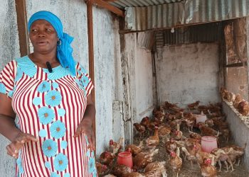 Kankan : L’élevage, une véritable source d’autonomisation pour les femmes