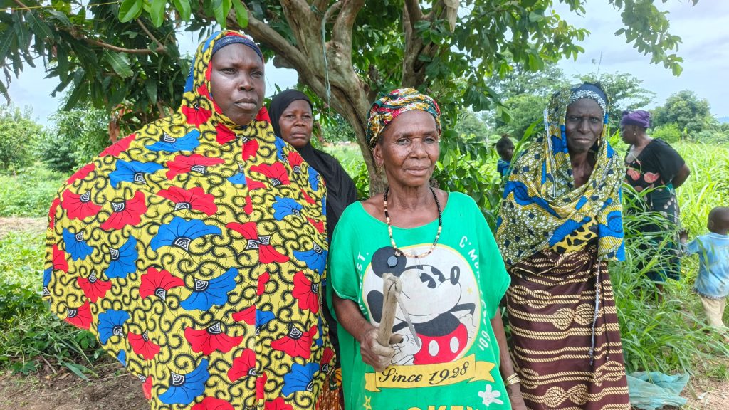 Entre soif et ravageurs : L’appel de détresse des producteurs de Kinieoro