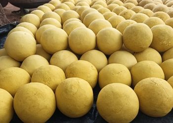 Kankan : À Sabadou-Baranama, quatre coépouses transforment la saponification en une source d’autonomie financière