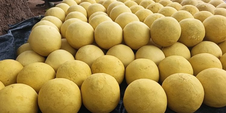 Kankan : À Sabadou-Baranama, quatre coépouses transforment la saponification en une source d’autonomie financière