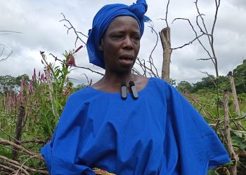 Kankan : Alamako Camara, veuve et maraîchère, lance un appel à l’aide pour sauver son exploitation
