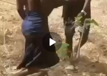 Affaire de la vidéo virale à Sinko (Beyla) : le père de la victime exige désormais que justice soit rendue