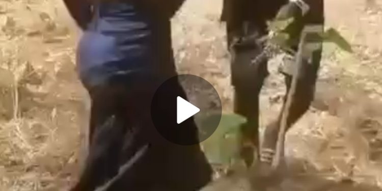 Affaire de la vidéo virale à Sinko (Beyla) : le père de la victime exige désormais que justice soit rendue