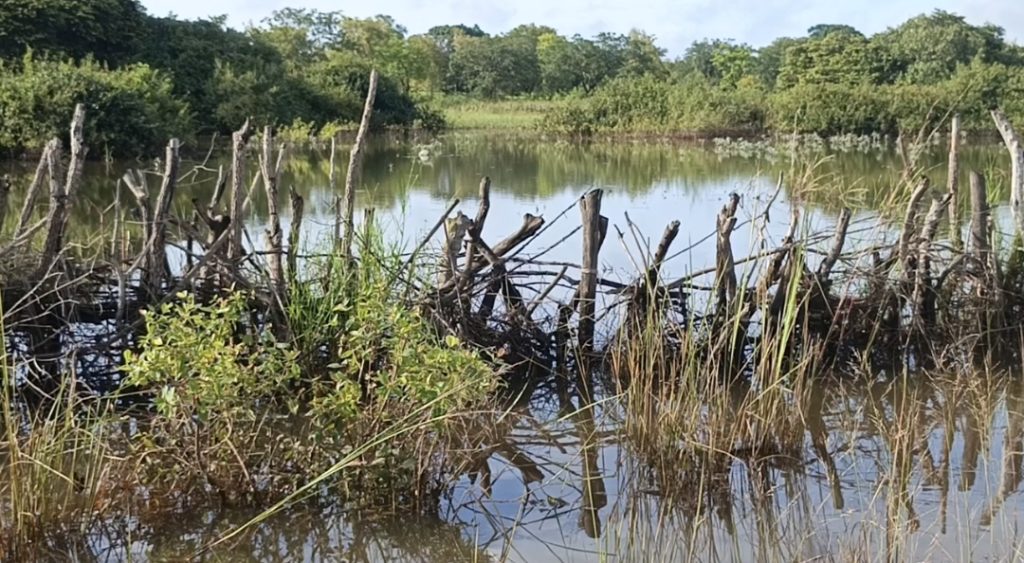 Tebemdala (Kankan) : les femmes maraîchères face aux inondations, à la dévastation des animaux et au délabrement des routes